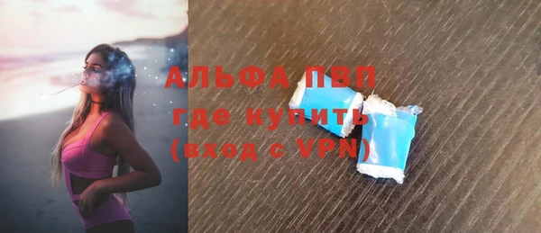 сатива Зеленокумск