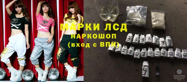 сатива Зеленокумск