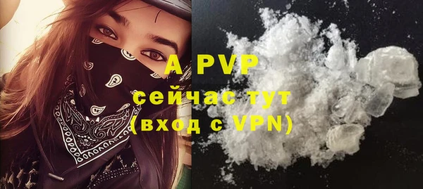 сатива Зеленокумск