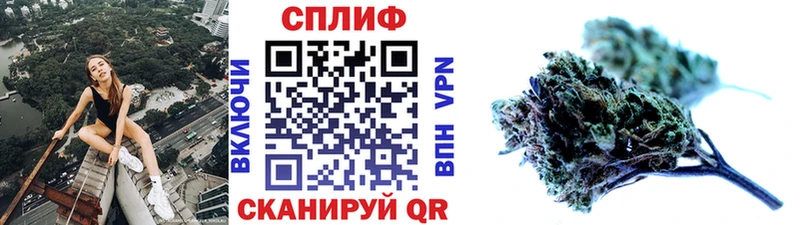 Конопля MAZAR  Купить закладки  Звенигород 